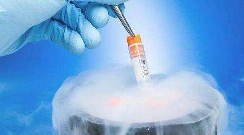 冻卵的好处有哪些呢？胚胎移植成功后需要注意什么？
