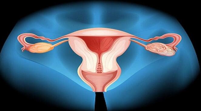 为什么怀孕期间要吃叶酸呢？通过试管技术怀孕的也要吃吗？