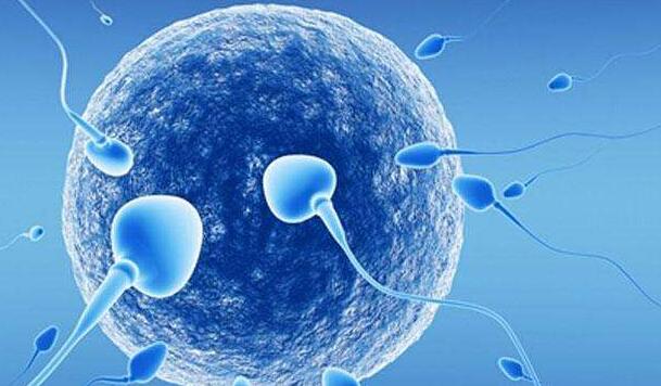 试管前的精液检查有什么需要注意的？染色体缺失有影响吗？