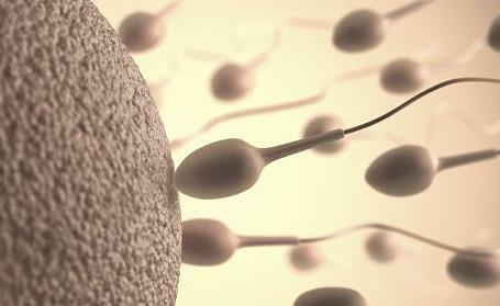 胚胎移植过后对于生活的影响大吗？还可以继续上班吗？