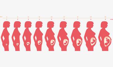 女性在孕期有哪些事是不宜做的？哪些事是有好处的？
