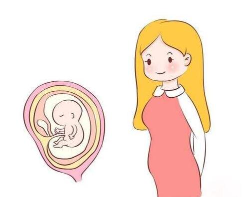 什么是胎停育？造成胎停育的原因有哪些？
