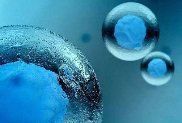 为什么要冷冻囊胚呢？会不会对胚胎造成损伤？