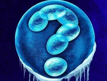 为什么要冷冻囊胚呢？会不会对胚胎造成损伤？