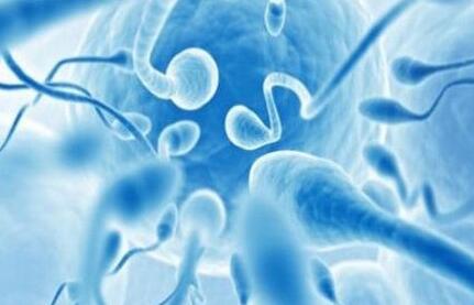 夫妻患有非淋菌性尿道炎，会影响做试管婴儿吗？