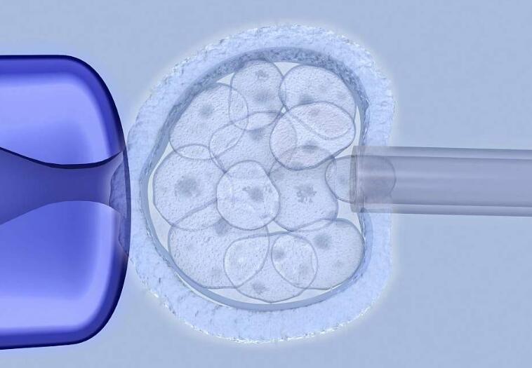 试管胚胎移植着床后什么时候验孕？成功有什么症状？