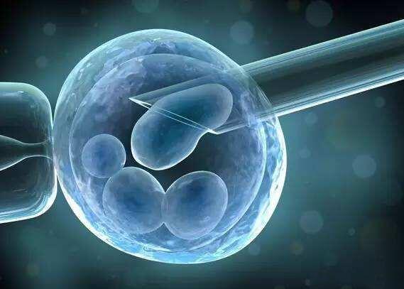 为什么试管胚胎移植过后会出现头晕的症状？