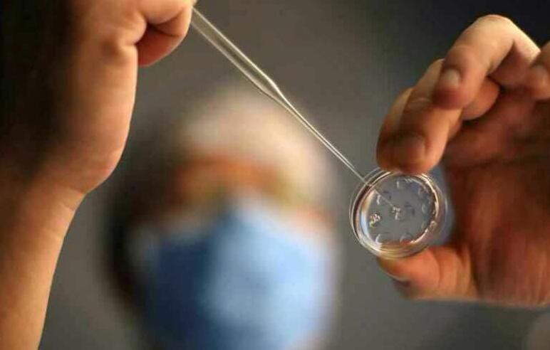 胚胎在移植后会有什么症状？移植后多久进入稳定期？