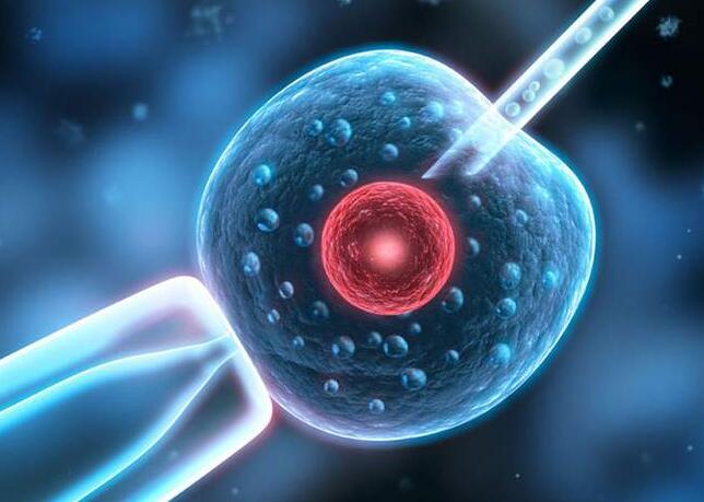 胚胎在试管过程中是都有哪些经历？从取卵时就要注意！