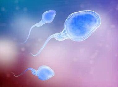 胚胎在试管过程中是都有哪些经历？从取卵时就要注意！