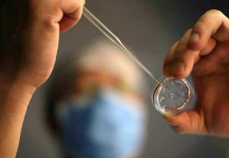 冻胚解冻后的试管过程是怎样的？卵巢储备不足应该怎么办？