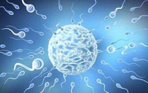 胚胎移植后多久能着床？为什么移植后会出现宫外孕的情况？