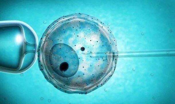 做试管婴儿应该如何选择胚胎实验室？可以从哪些方面来判别？