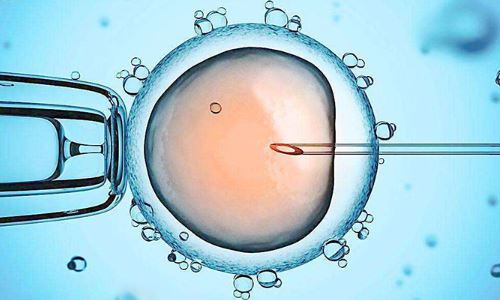试管卵泡小是否会影响怀孕？如