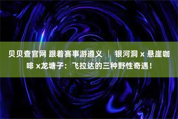 贝贝查官网 跟着赛事游遵义 │ 银河洞 x 悬崖咖啡 x龙塘子：飞拉达的三种野性奇遇！