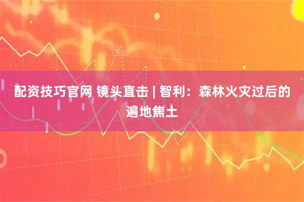 配资技巧官网 镜头直击 | 智利：森林火灾过后的遍地焦土